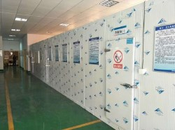 岳阳市嘉科后勤服务有限公司----冷冻、冷藏库